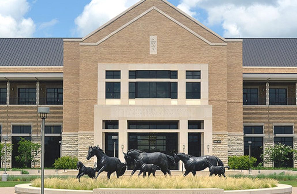 Texas A&M Veterinary Medicine and Biomedical Sciences Education Complex